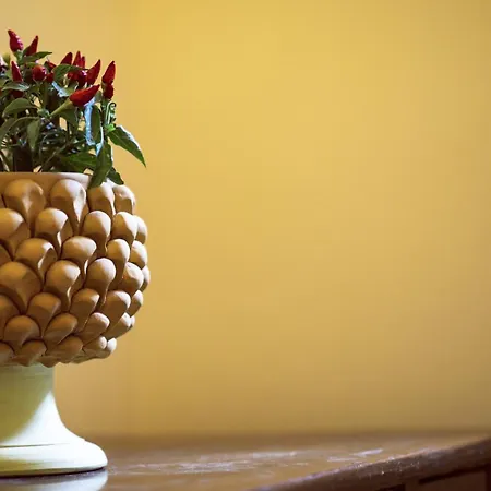La Kalsa 14 Nel Centro Storico Di Palermo